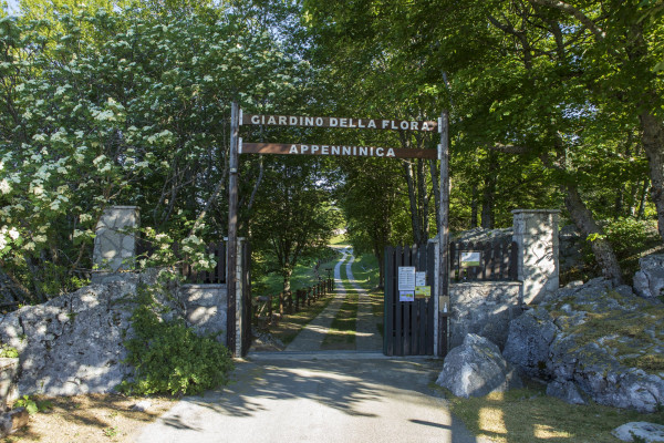 Garden of the Apennine Flora